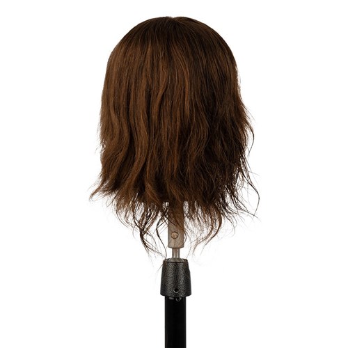 Dateline Professional David Mannequin